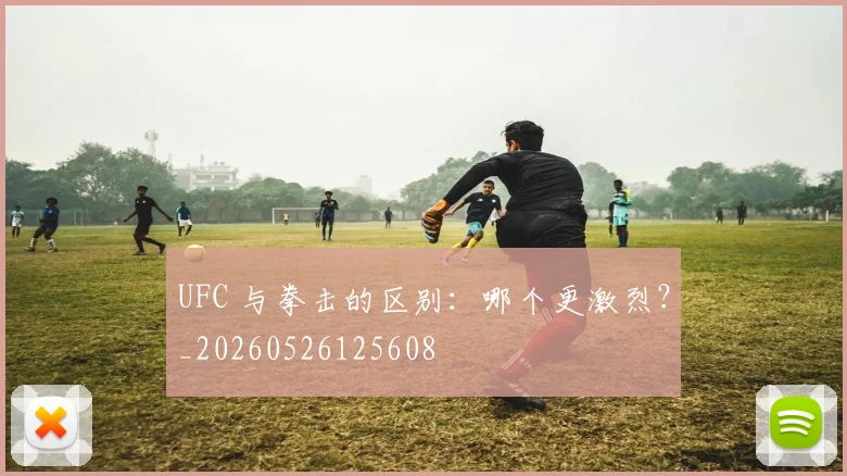 UFC 与拳击的区别:哪个更激烈?_20260526125608