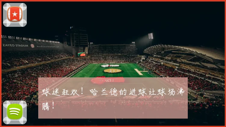 球迷狂欢！哈兰德的进球让球场沸腾！