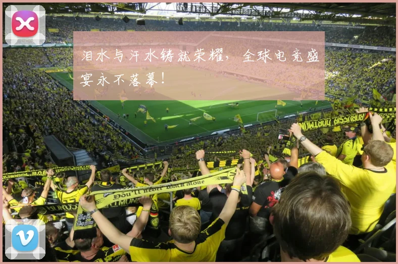 泪水与汗水铸就荣耀,全球电竞盛宴永不落幕!