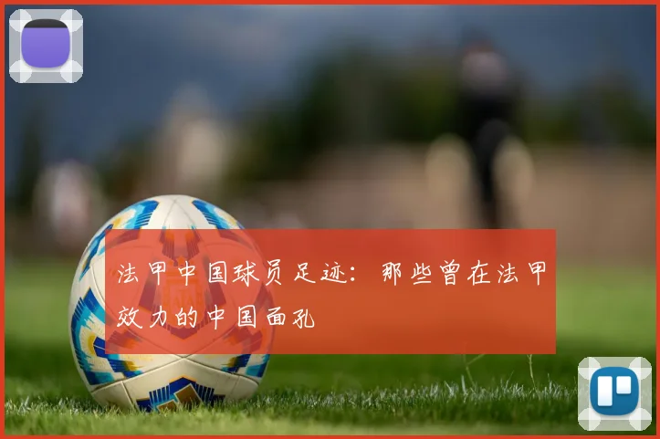 法甲中国球员足迹:那些曾在法甲效力的中国面孔