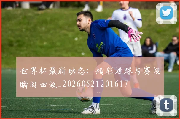 世界杯最新动态：精彩进球与赛场瞬间回放_20260521201617