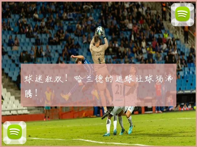 球迷狂欢!哈兰德的进球让球场沸腾!