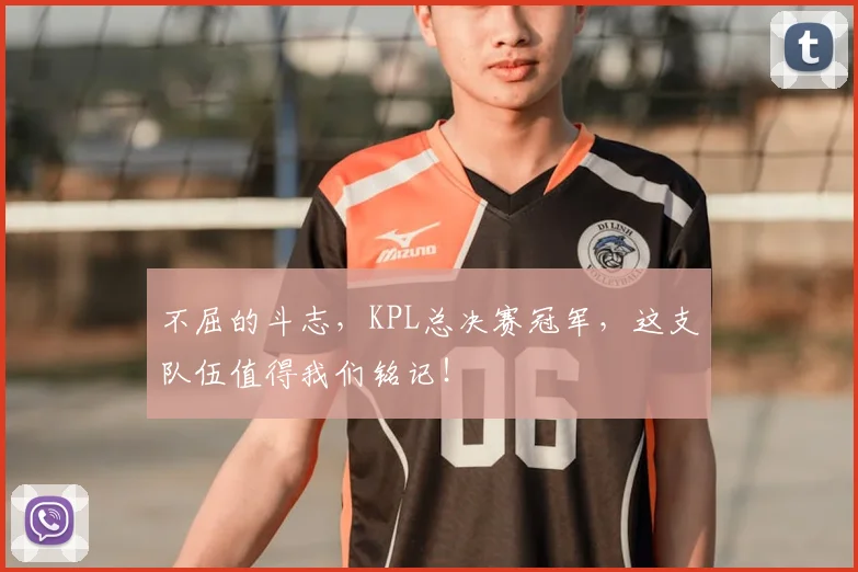 不屈的斗志，KPL总决赛冠军，这支队伍值得我们铭记！